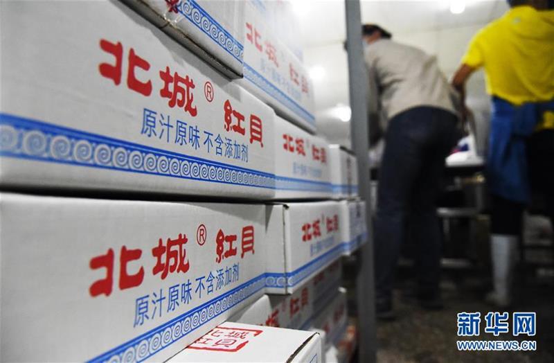 (走向我們的小康生活·圖文互動(dòng))(2)長(zhǎng)島漁民的扇貝喜事:從請(qǐng)客求人買(mǎi)到供不應(yīng)求