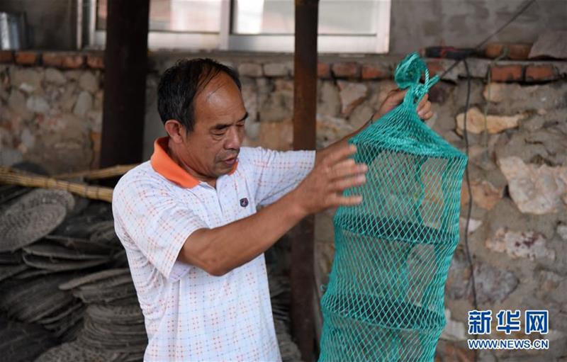 (走向我們的小康生活·圖文互動(dòng))(8)長(zhǎng)島漁民的扇貝喜事:從請(qǐng)客求人買(mǎi)到供不應(yīng)求