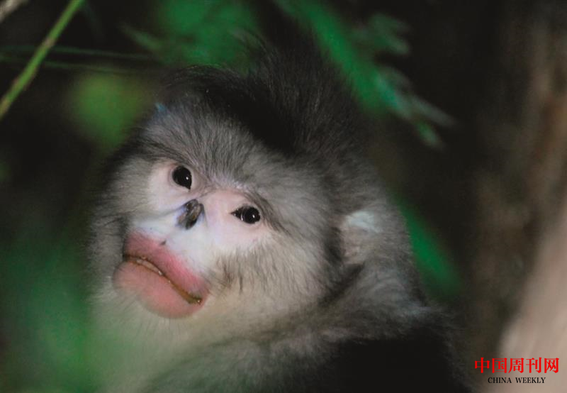 微信圖片_20201021164501.png 微信圖片_20201021164501.png