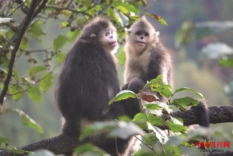 微信圖片_20201021164505.jpg 微信圖片_20201021164505.jpg