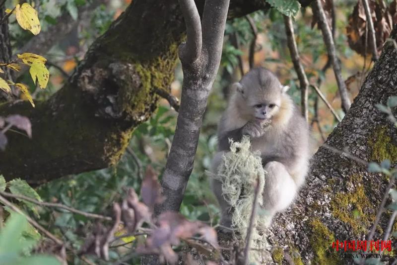 微信圖片_20201021164510.jpg 微信圖片_20201021164510.jpg