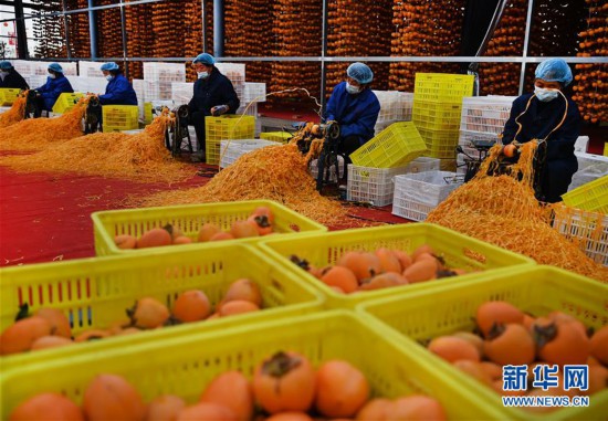 (經(jīng)濟(jì))(2)“富平杮餅”加工忙