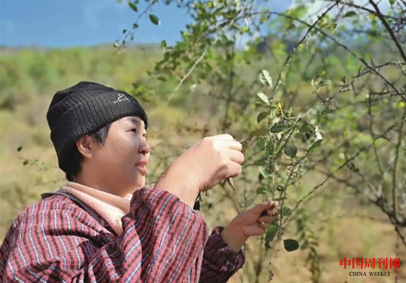 微信圖片_20201109170944.jpg 微信圖片_20201109170944.jpg