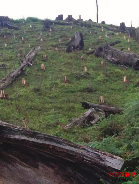 微信圖片_20201109170948.png 微信圖片_20201109170948.png