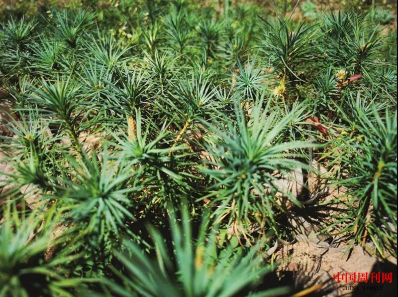 微信圖片_20201109170956.jpg 微信圖片_20201109170956.jpg