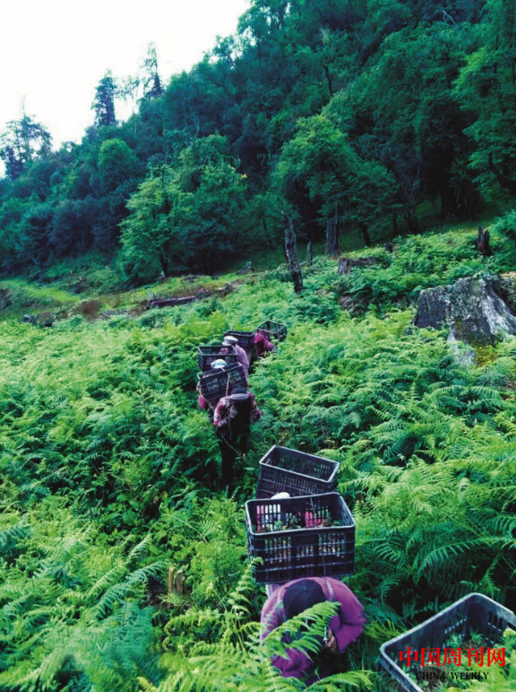 微信圖片_20201109171000.png 微信圖片_20201109171000.png