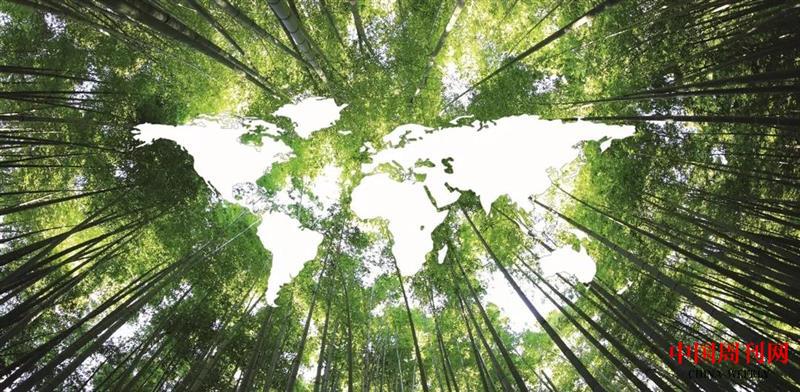 微信圖片_20201208170613.jpg 微信圖片_20201208170613.jpg