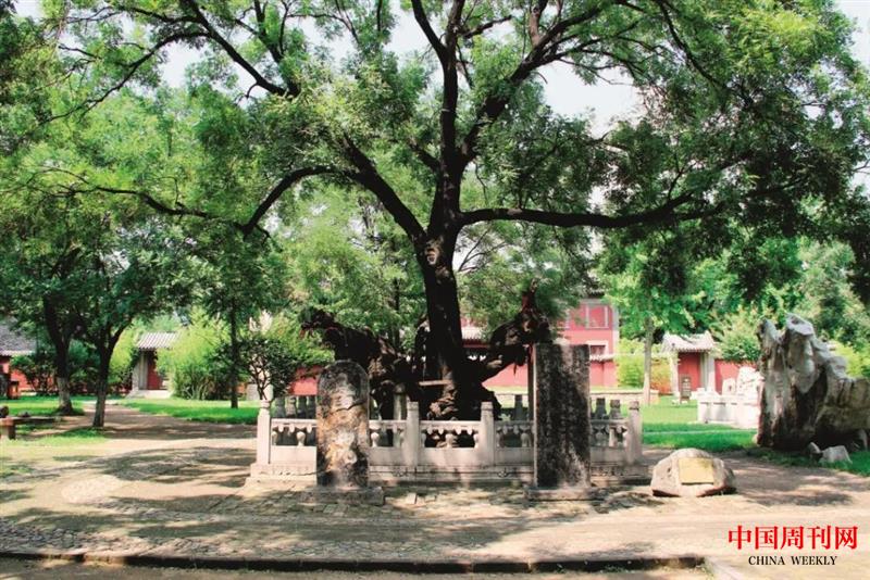 微信圖片_20201211174207.jpg 微信圖片_20201211174207.jpg