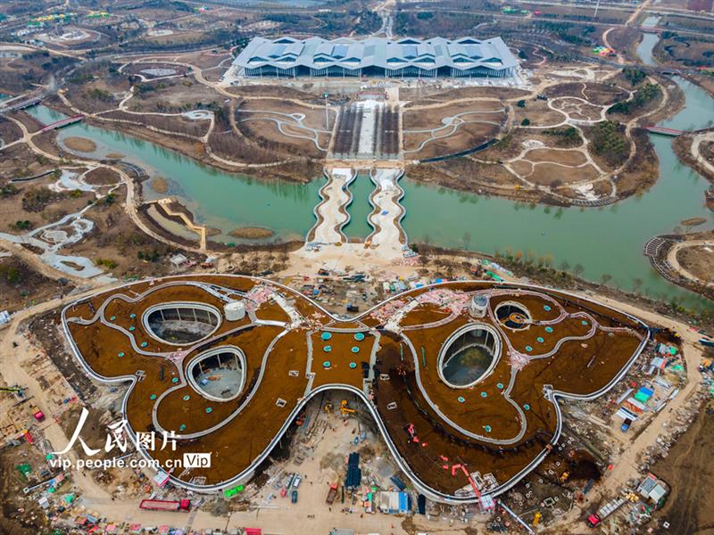 上海崇明：花博會建設如火如荼【4】