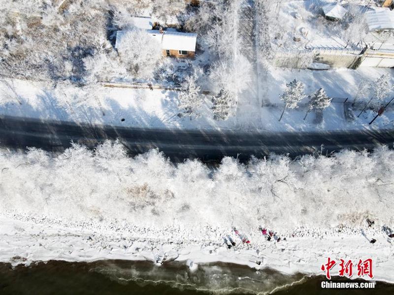 航拍松花江岸霧?。河駱洵傊Κq若仙境