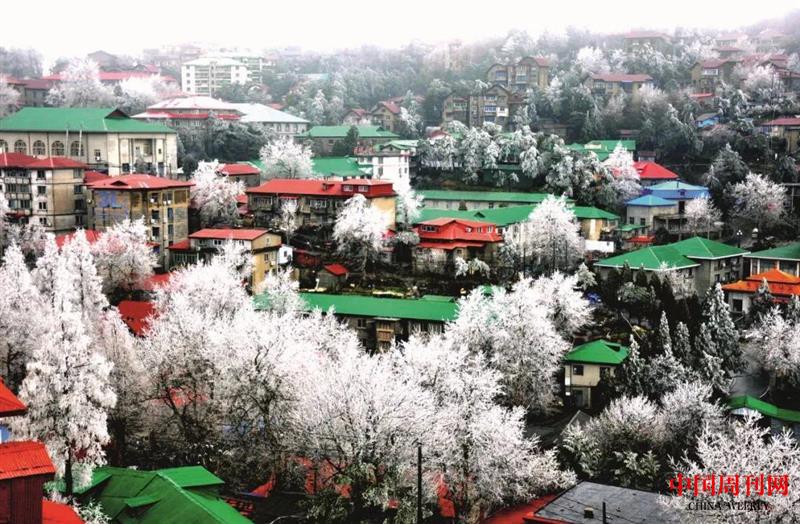 微信圖片_20210203165111.jpg 微信圖片_20210203165111.jpg