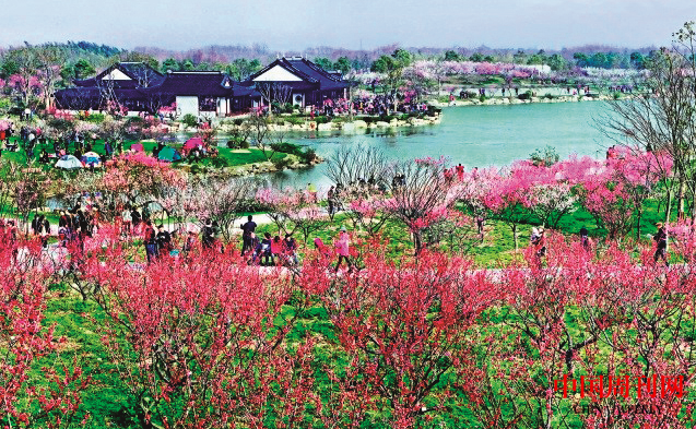 微信圖片_20210322143134.png 微信圖片_20210322143134.png