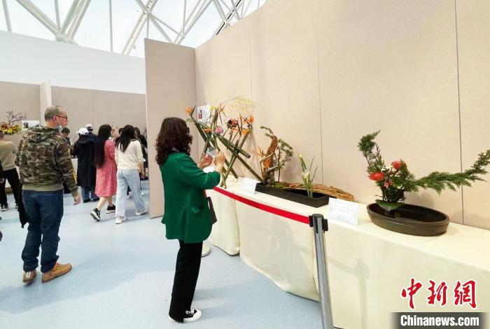 民眾參觀插花競賽作品展?！⌒焐荷?攝