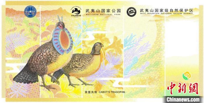 武夷山貨幣文化券背面 供圖 攝 武夷山貨幣文化券背面 供圖 攝