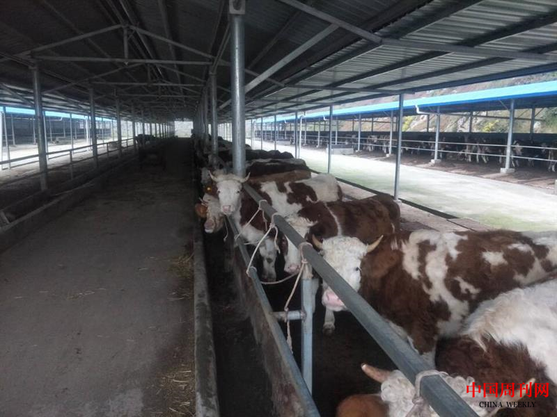 FB68CFAA434C92CB981E921CCD5C04DA.png FB68CFAA434C92CB981E921CCD5C04DA.png