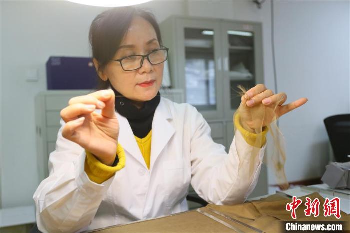 據(jù)趙喜梅介紹，修復(fù)文物紡織品所用的縐絲紗比頭發(fā)絲還細(xì)。　高展 攝
