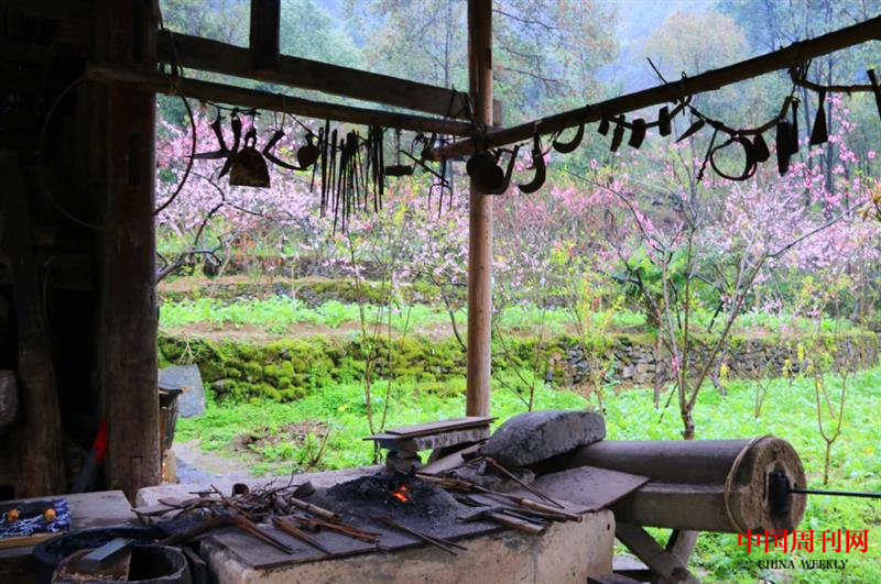 640 (4).png 640 (4).png