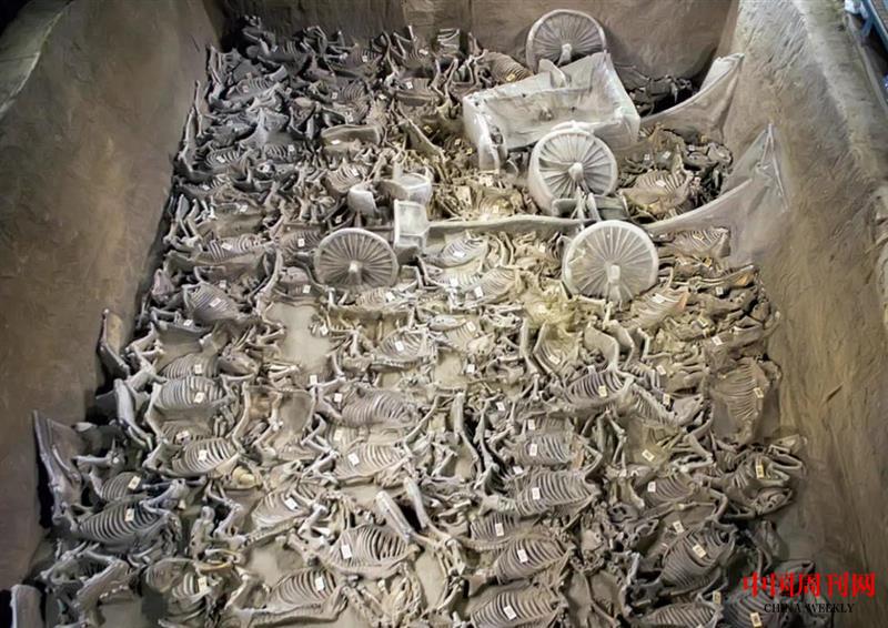 微信圖片_20210625162022.jpg 微信圖片_20210625162022.jpg