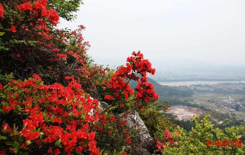 微信圖片_20210811182232.png 微信圖片_20210811182232.png