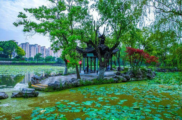 揚(yáng)州:小亭秋色滿 盡顯古韻美