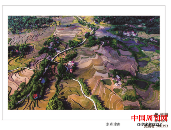 圖片 53.png 圖片 53.png