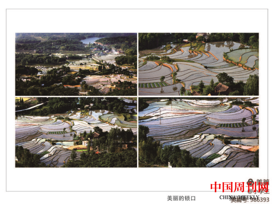 圖片 54.png 圖片 54.png