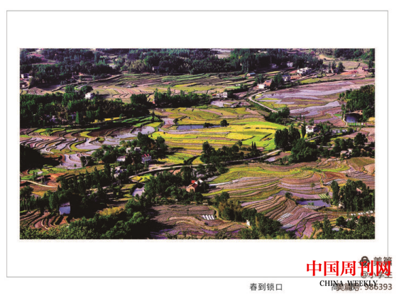 圖片 61.png 圖片 61.png