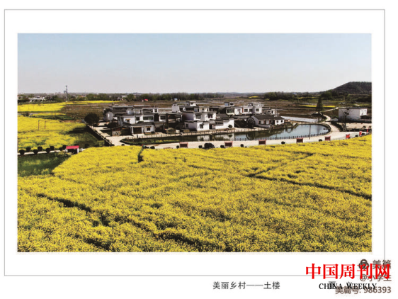 圖片 67.png 圖片 67.png