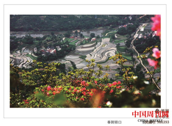 圖片 72.png 圖片 72.png