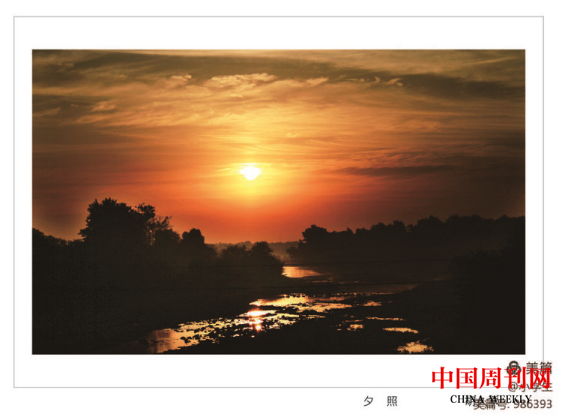 圖片 74.png 圖片 74.png