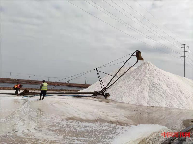 微信圖片_20211013115853.jpg 微信圖片_20211013115853.jpg