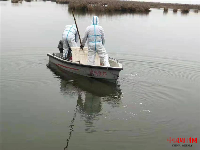 圖片4.png 圖片4.png