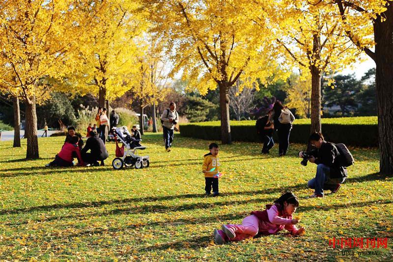 北京植物園秋日.jpg 北京植物園秋日.jpg