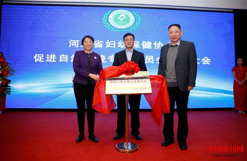 圖片5.png 圖片5.png