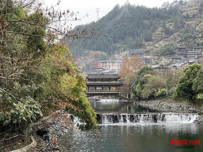 圖片6.png 圖片6.png