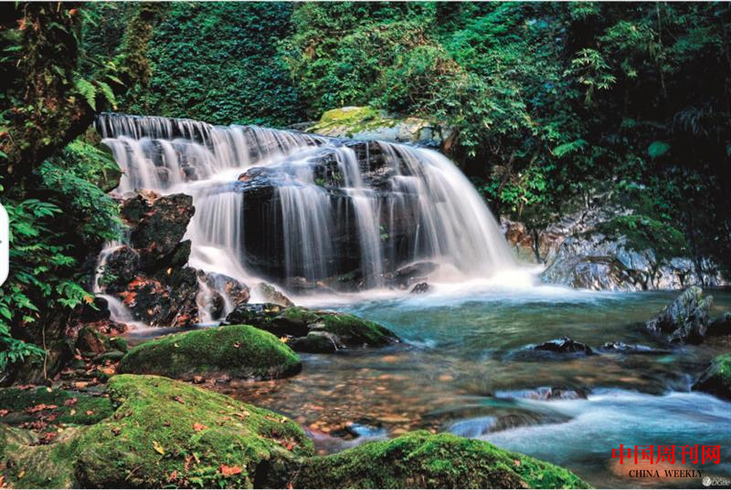 微信截圖_20220113144850.png 微信截圖_20220113144850.png