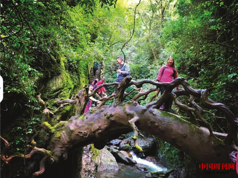 微信截圖_20220113145123.png 微信截圖_20220113145123.png