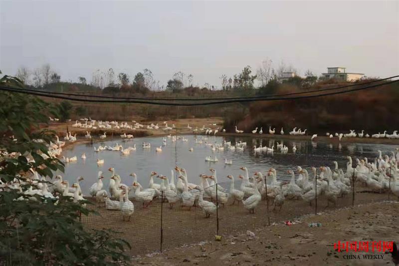 999f773c913882c8b506dc1fbbcbba4.jpg 999f773c913882c8b506dc1fbbcbba4.jpg