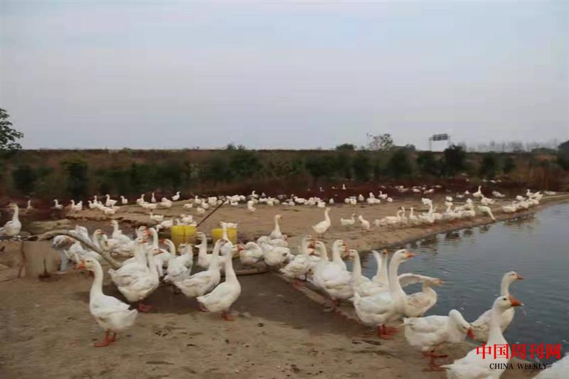 b0c79b8202e560b2dd9d7a3328b8d2f.jpg b0c79b8202e560b2dd9d7a3328b8d2f.jpg