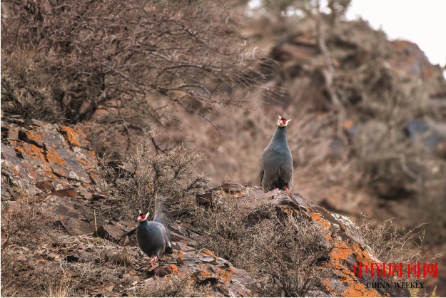 微信截圖_20220328141035.png 微信截圖_20220328141035.png