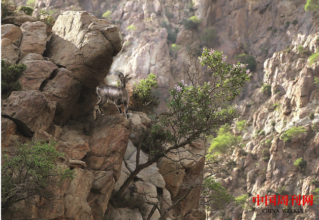 微信截圖_20220328141050.png 微信截圖_20220328141050.png