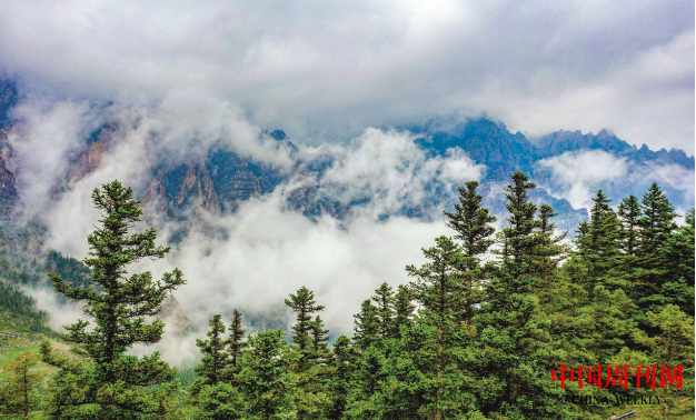 微信截圖_20220328141142.png 微信截圖_20220328141142.png