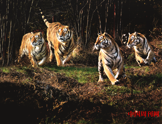 微信截圖_20220328143116.png 微信截圖_20220328143116.png