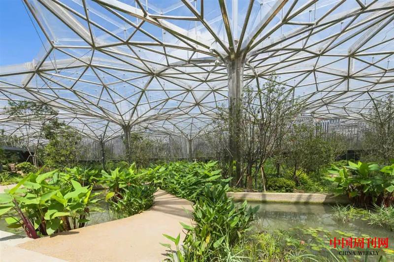 微信圖片_20220411115720.jpg 微信圖片_20220411115720.jpg