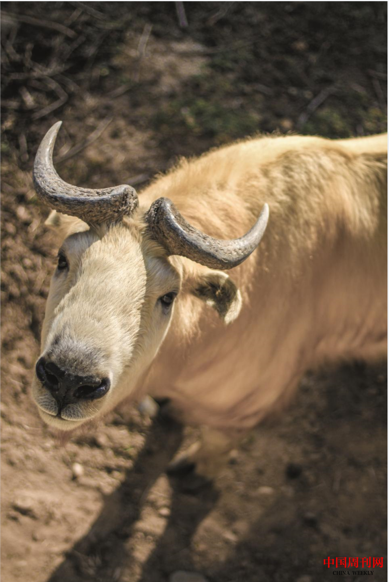 微信截圖_20220926140243.png 微信截圖_20220926140243.png