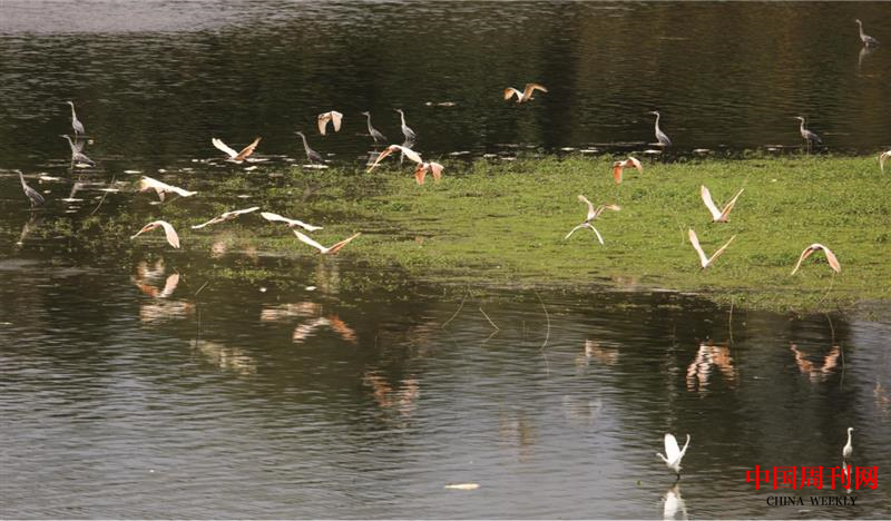 微信截圖_20220926152258.png 微信截圖_20220926152258.png