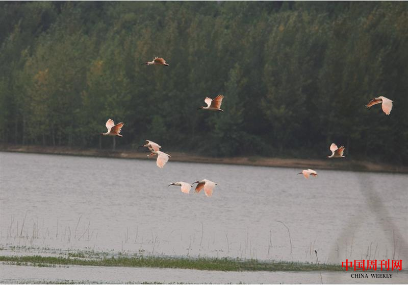 微信截圖_20220926152524.png 微信截圖_20220926152524.png