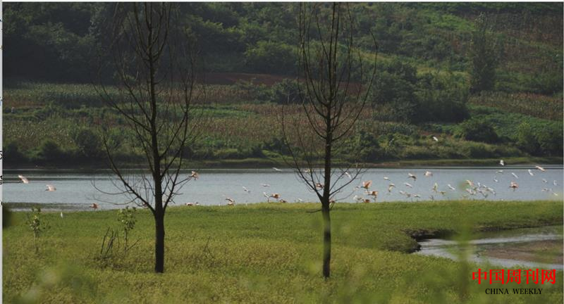 微信截圖_20220926152812.png 微信截圖_20220926152812.png