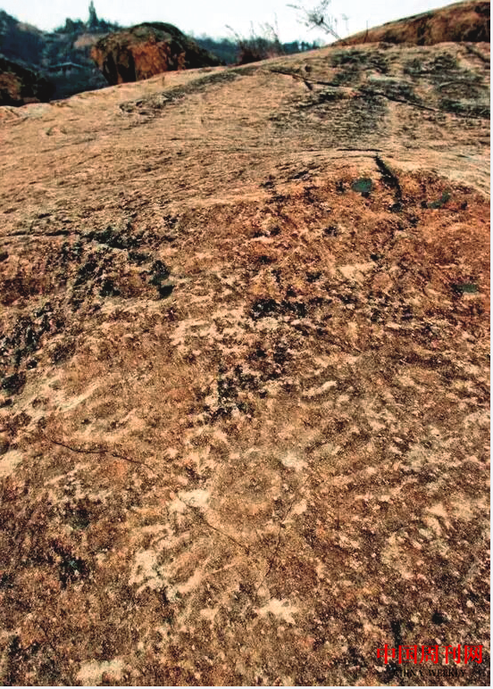 微信截圖_20221013133511.png 微信截圖_20221013133511.png