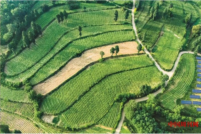 微信截圖_20221014162532.png 微信截圖_20221014162532.png